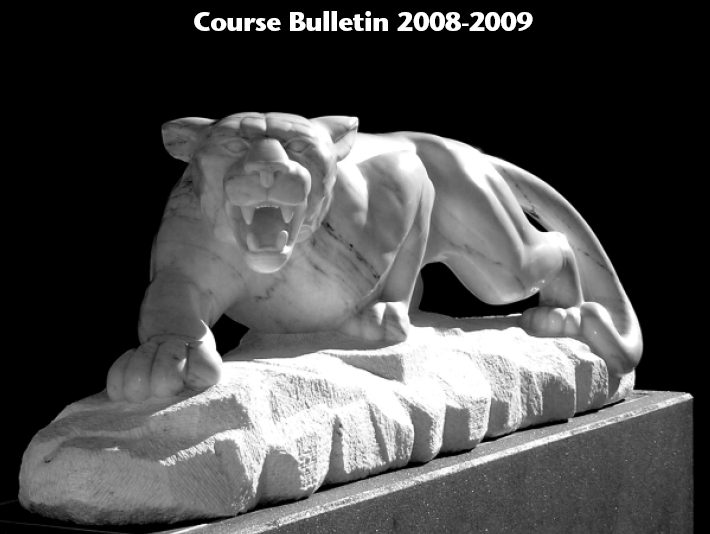 Course Bulletin 2008-2009 Cougar Statue